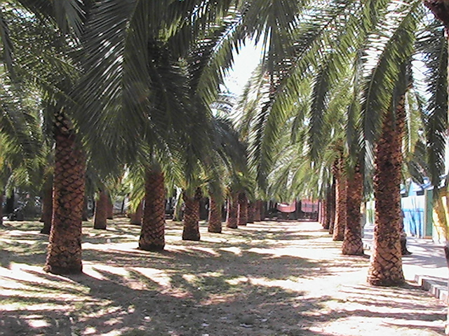 foto-12